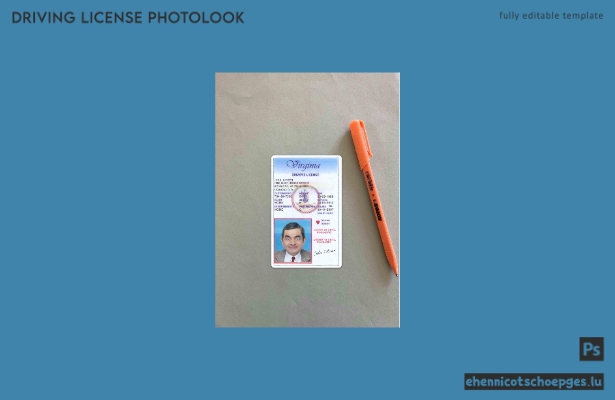 USA Virginia Führerschein unter 21 Jahren Fotoansicht Beispielvorschau